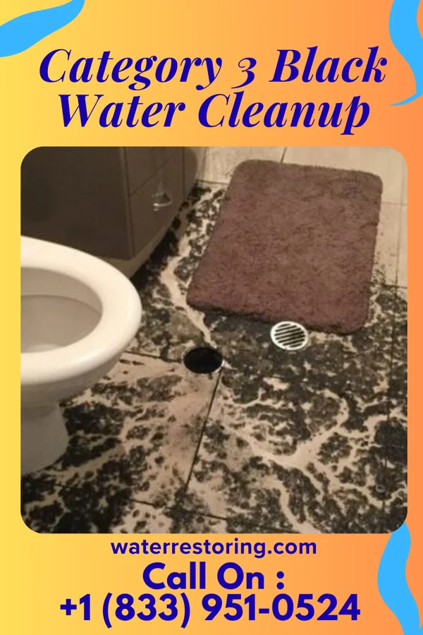 Category 3 Black Water Cleanup in Satsuma, AL
