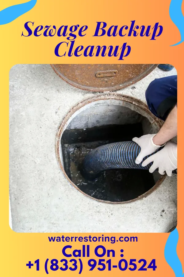 Sewage Backup Cleanup in Satsuma, AL